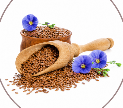Flax Seeds