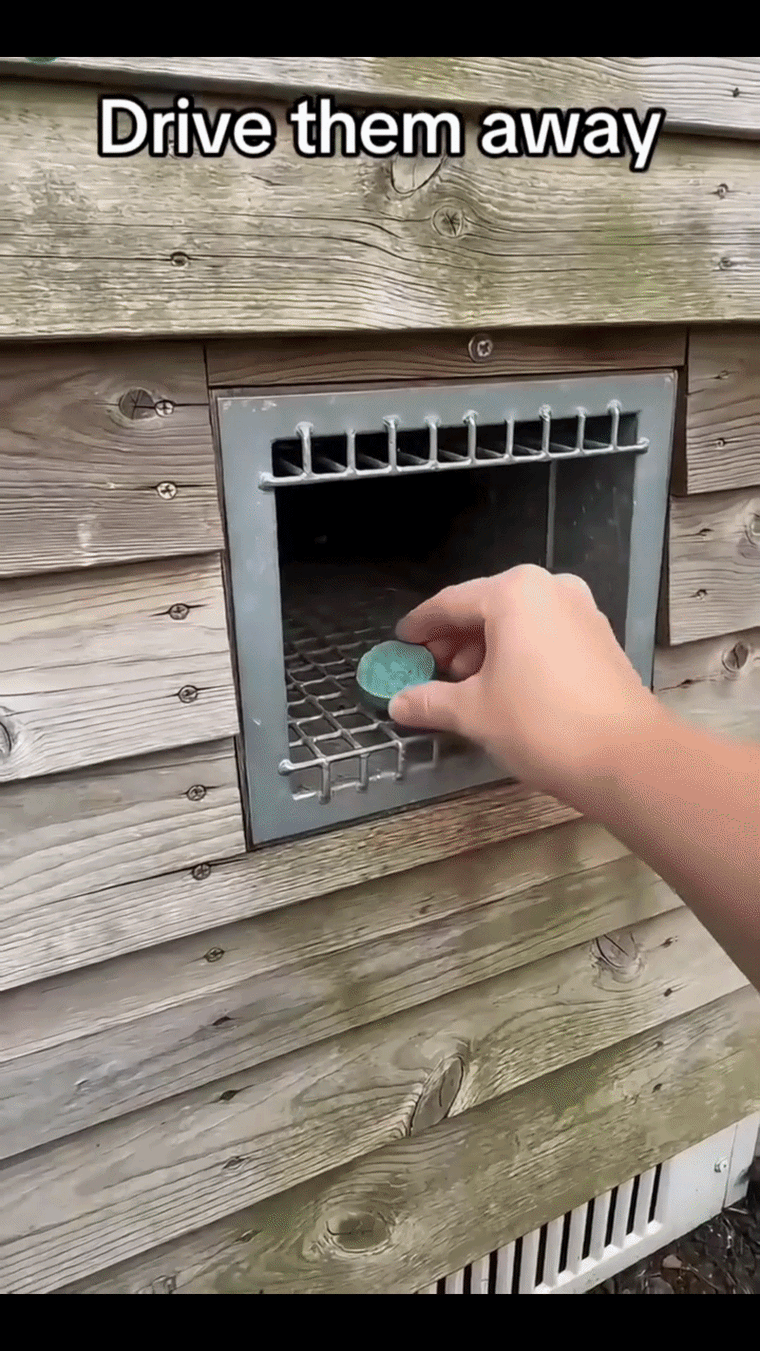Repel rats and mice naturally without trace