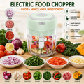 Mini Electric Food Chopper