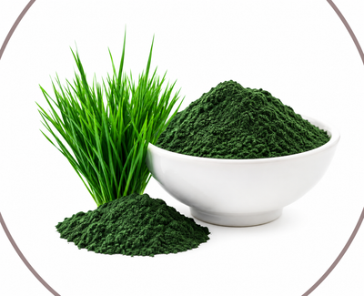 Spirulina